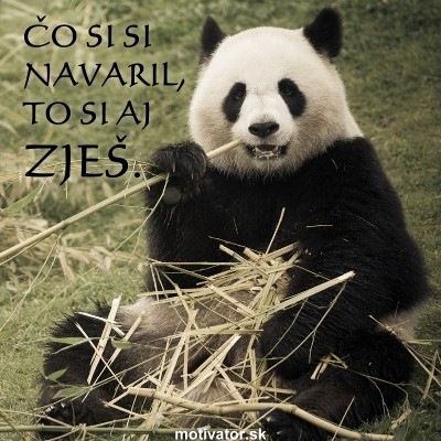 Čo si si navaril, to si aj zješ.