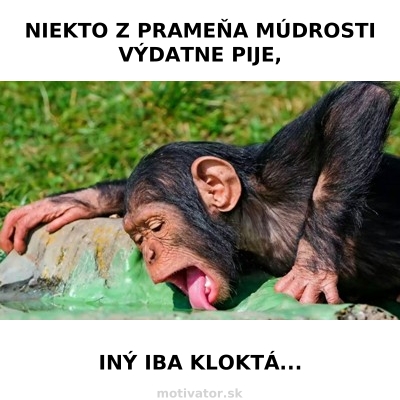 Niekto z prameňa múdrosti výdatne pije. Iný iba kloktá...